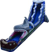 24' Shark