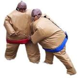 Sumo Wrestling Suits
