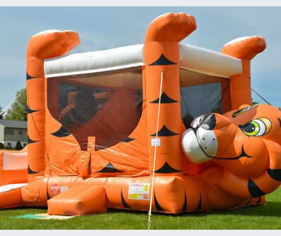 Tiger Belly Bouncer Combo Rental Near Baltimore Md