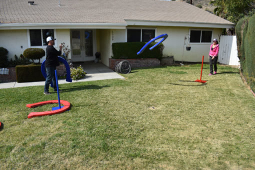 Giant Horseshoes