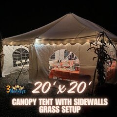 20' x 20' Canopy Tent with Sidewalls - Grass Setup