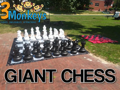 Oversized Chess #541