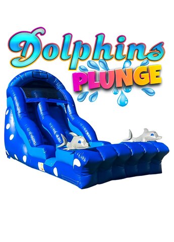 Dolphin Plunge