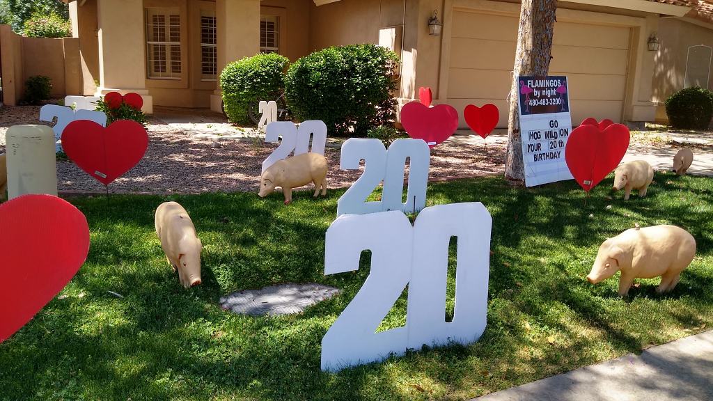 yard decoration of pigs, hearts and big number 20s yard signs near Scottsdale