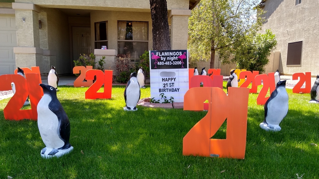 birthday yard card greeting of number 21s and penguin and golf balls near Gilbert AZ