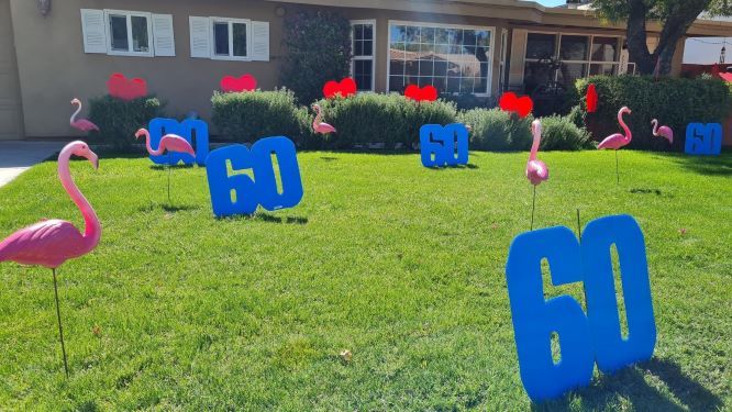 big number 60s and rental flamingos flocking in birthday yard sign display near Arcadia AZ