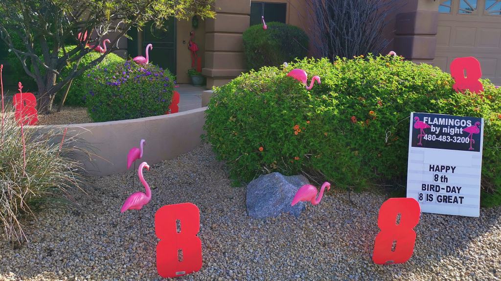 Flamingos and big number 8s birthday yard greeting display in Phoenix AZ