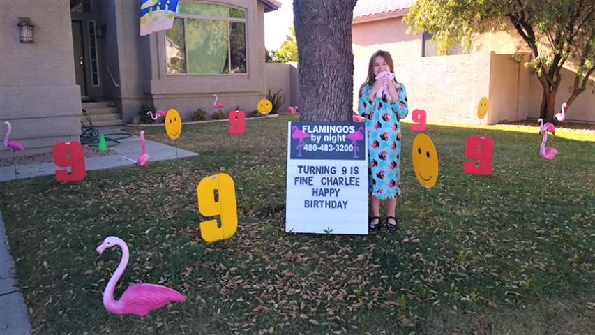 Happy birthday yard card greeting with number 9s, flamingos and smileys near Peoria Arizona
