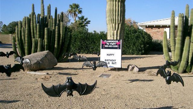 Old bat birthday yard sign greetings in Fountain Hills Arizona