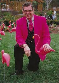 Dojn Featherstone flamingo father with his flock