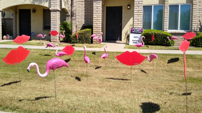 Anniversary kisses and flamingos yard sign deccoration near Biltmore AZ