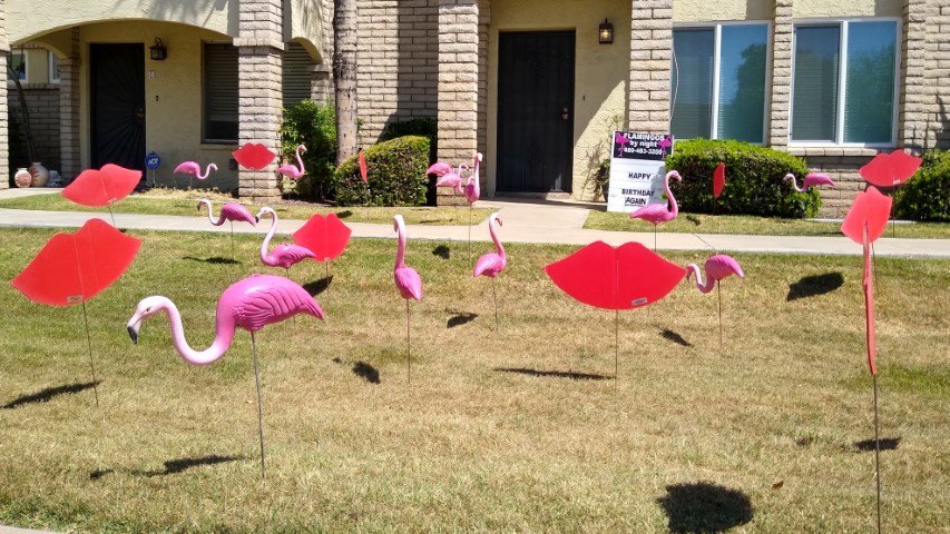 Rent flamingos for birthday, new baby or gotcha! From $90