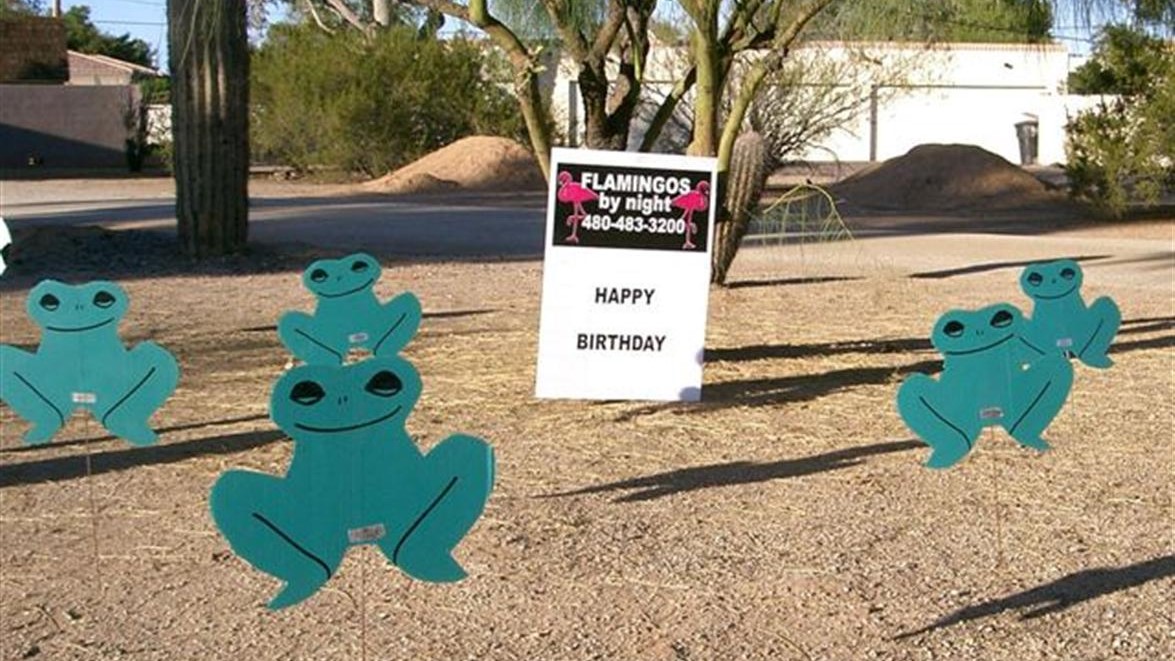 Hoppy birthday frogs in yard card sign display near Scottsdale