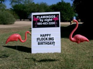 happy flocking birthday yard sign with flamingos in yard near Apache Junction AZ