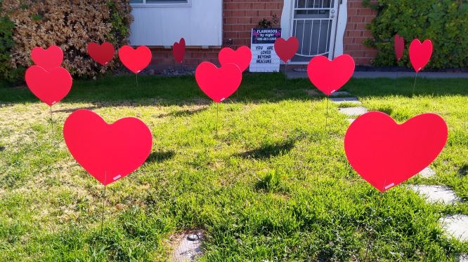 30 big red hearts in her yard for Fathers Day