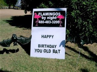 happy birthday you old bat custom sign with black bats in Waddell Arizona