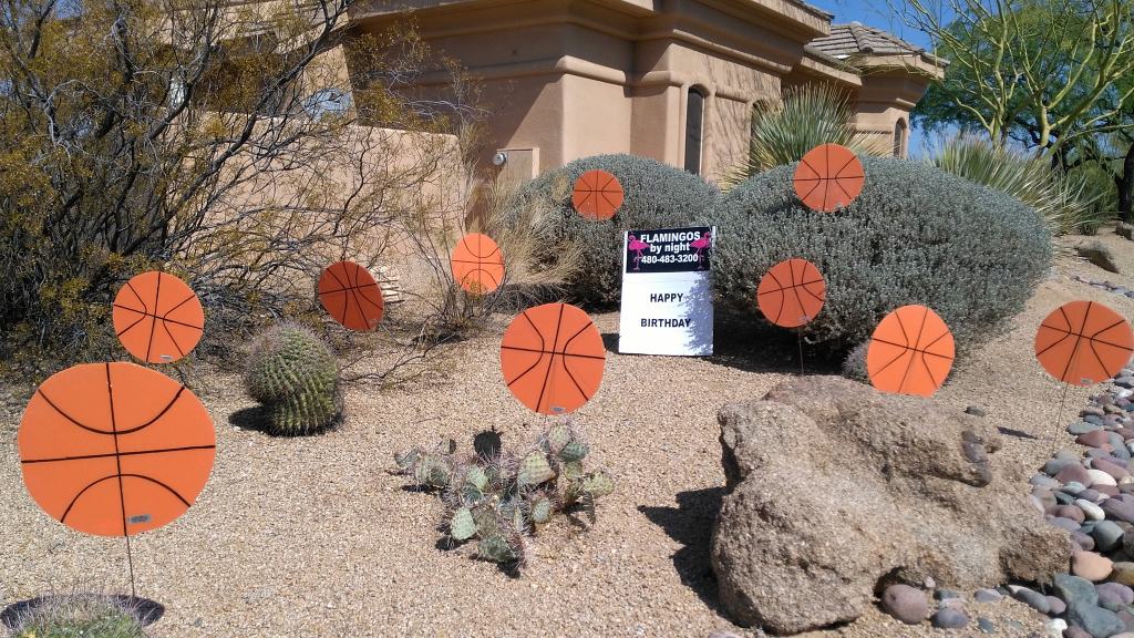 a yard full of 30 basketballs for the birthday hoops guy in Scottsdale
