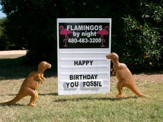 Happy birthday you old fossil custom yard card sign for Flamingos By Night Mesa AZ