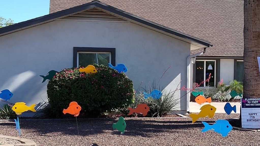 Yard card signs of School of 30 colored fish in the yard