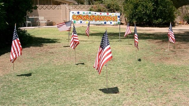 yard full of American flags for Independence Day 