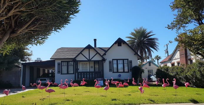 50 plastic flamingos flocking near Encanto AZ birthday yard sign surprise