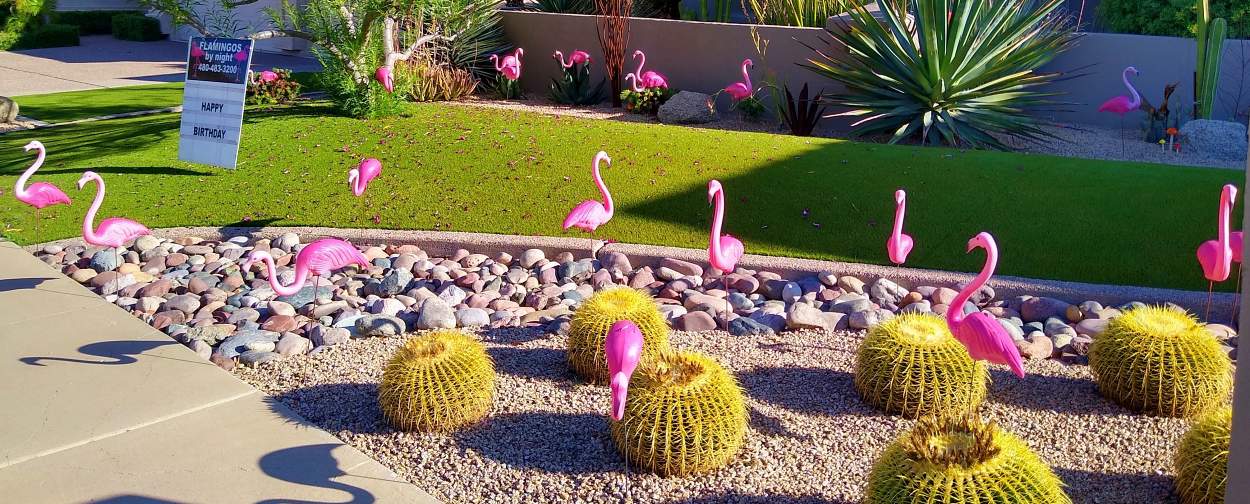 A yard full of birthday flamingos is flocking great! 50 flamingo yard card sign in Phoenix AZ