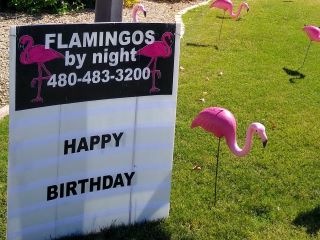 Happy birthday yard sign for Flamingos By Night yard card sign rental service