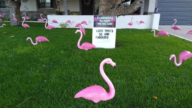 Flamingos yard card for birthday