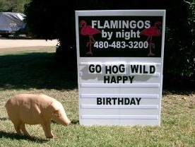 Go Hog Wild custom birthday custom yard card sign for Flamingos By Night Arcadia AZ