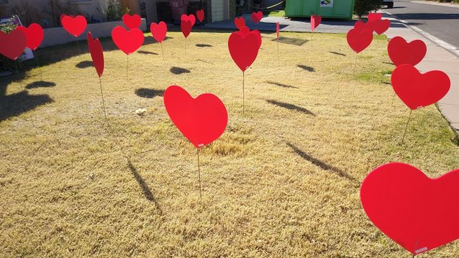 30 big red Heart yard signs near Ahwatukee AZ lawn for Valentine's Day 