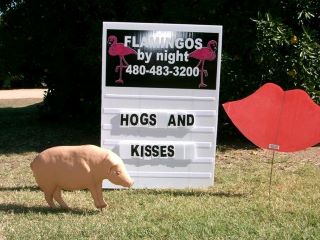 Hogs and kisses yard card sign