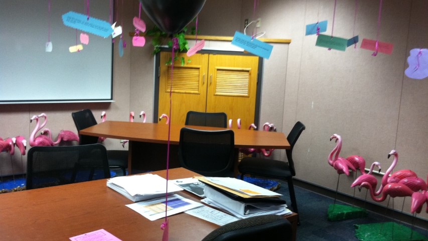Indoor office flamingos flocking for Boss
