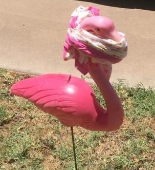 Plastic flamingo masks up while flocking for Flaingos By NIght in Phoenix AZ