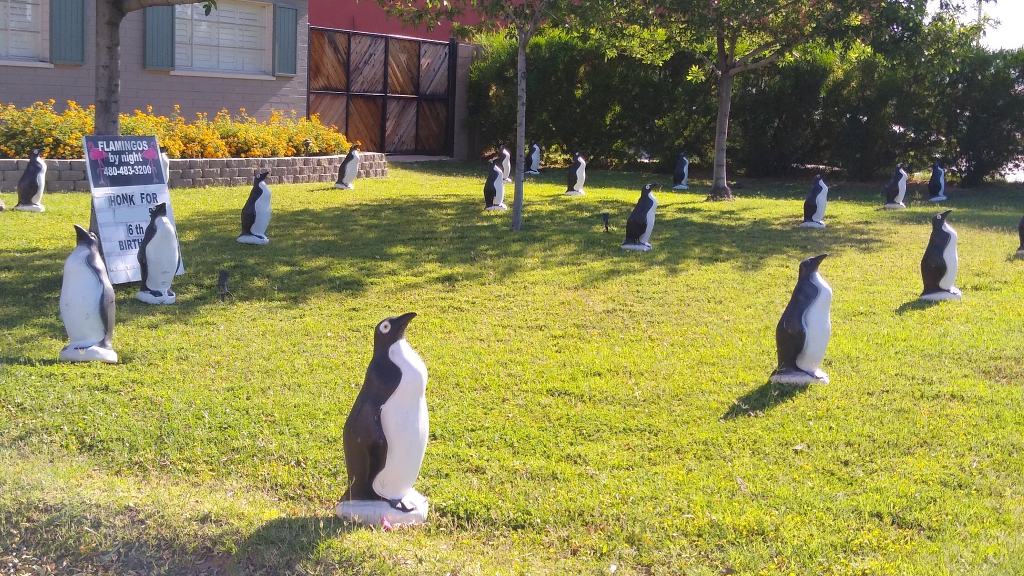 30 penguins anniversary yard decorations. Near Arcadia