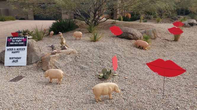 pigs hearts and flamingos decorations in yard