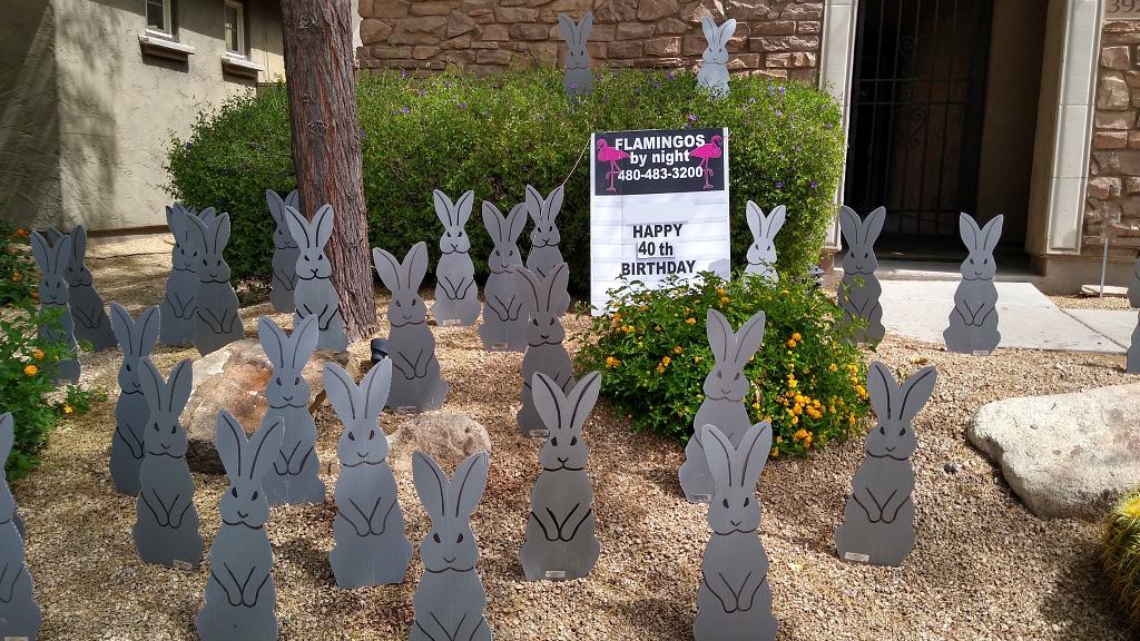 Oh, no, more gray hares yard sign greeting