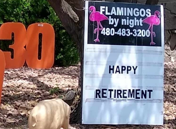 Happy retirement yard card with pigs near San Tan Valley AZ