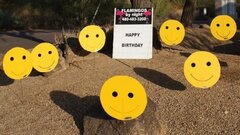 30 Smiley faces (34" tall 16" wide)