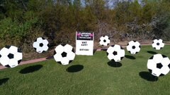 30 Soccer balls (34' tall 16' wide)