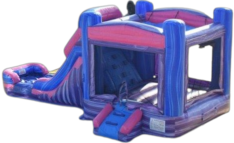 Princess Bounce House Slide Rental