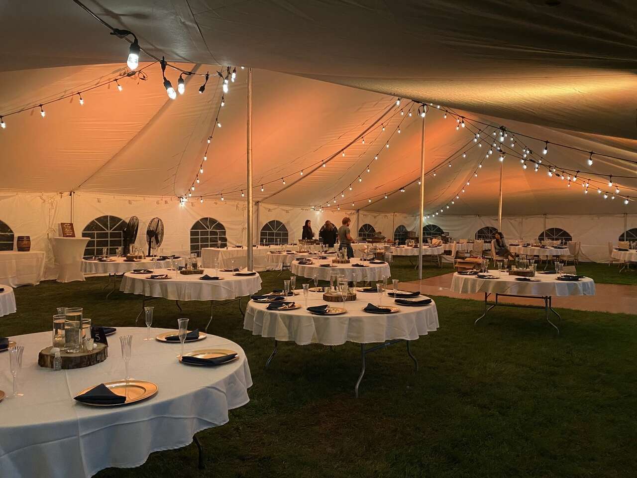 Tent Lighting Sterling Heights 