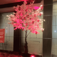 10' Cherry Blossom Tree