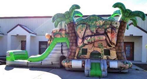 Tarrant County Bounce House with Slide Rental