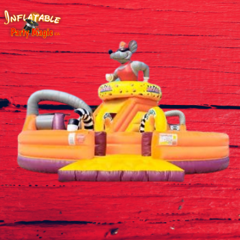 Weatherford Inflatable Obstacle Course Rentals