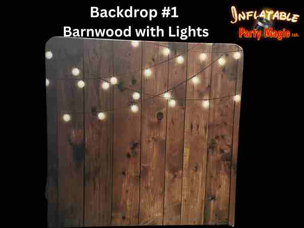 Photo Booth Backdrop #1 Barnwood with Lights