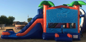 Tropical Oasis Water slide Rental from Inflatable Party Magic LLC Cleburne, Texas