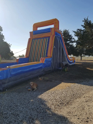 Velcro Wall  Jump Party Texas