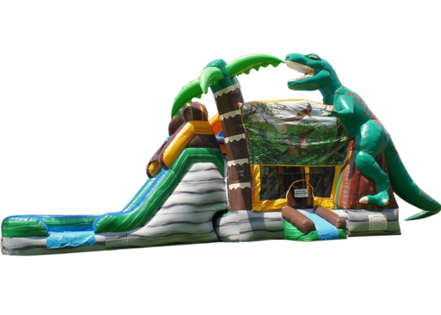 Dinosaur Dual Lane Combo Water Slide