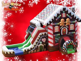 Gingerbread House with Double Lane Slide