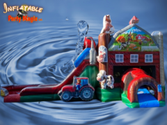Farm Double Water Slide Bounce House Rental